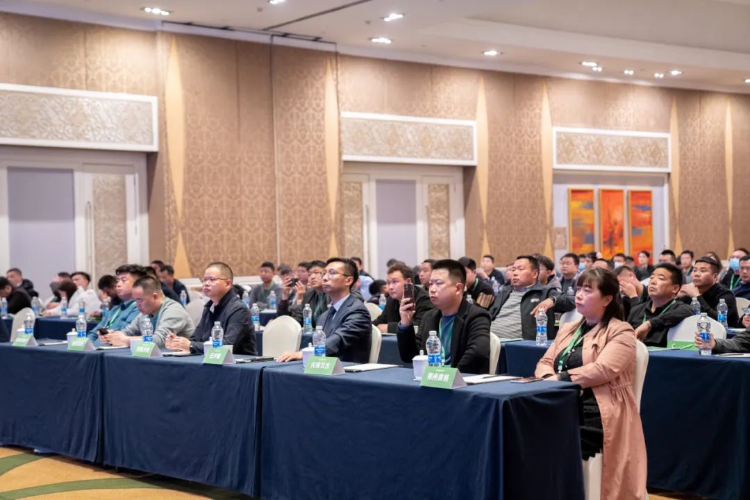 s36沙龙会 - 要玩就玩沙龙会