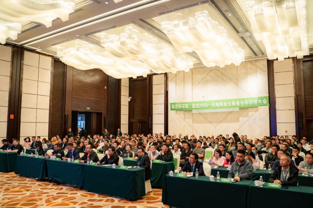 s36沙龙会 - 要玩就玩沙龙会