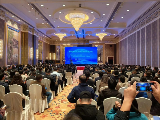 s36沙龙会 - 要玩就玩沙龙会