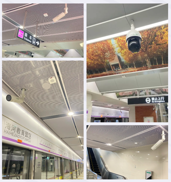 s36沙龙会 - 要玩就玩沙龙会